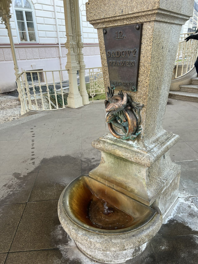 🇨🇿Karlovy VARY♨️