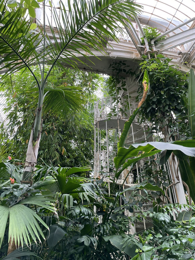 Kew Gardens: London’s Green Oasis of Wonders