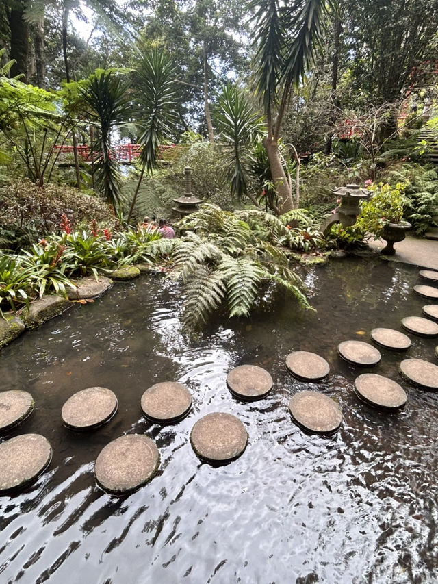 A tropical paradise