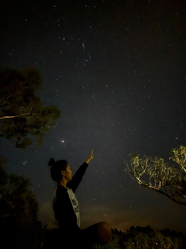 호주 시드니 블루마운틴 코스 추천 ⛰️