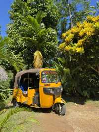 Lemuria Land