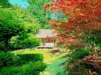 Garden Dreams & Gourmet Scenes at Le Manoir
