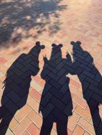 Disneyland Anaheim: The Magic You’ve Been Waiting For