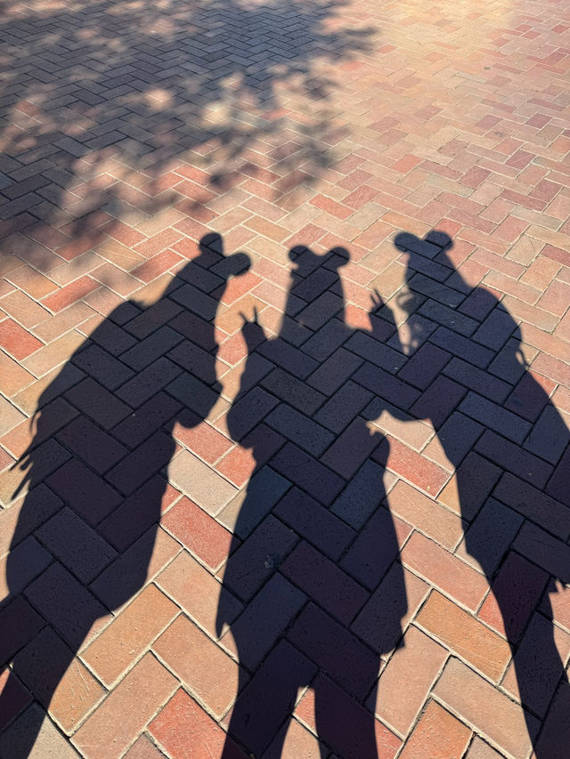 Disneyland Anaheim: The Magic You’ve Been Waiting For