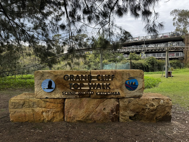 Blue Mountains 🏔️ Sydney 