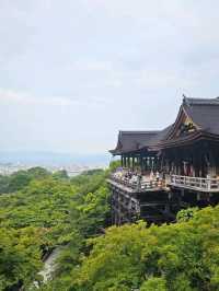 Walking Through the Green Side of Kiyomizu-dera