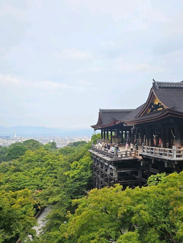 Walking Through the Green Side of Kiyomizu-dera
