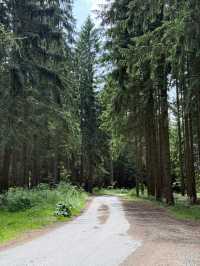 Mariánské Lázně: A Peaceful Escape for the Soul