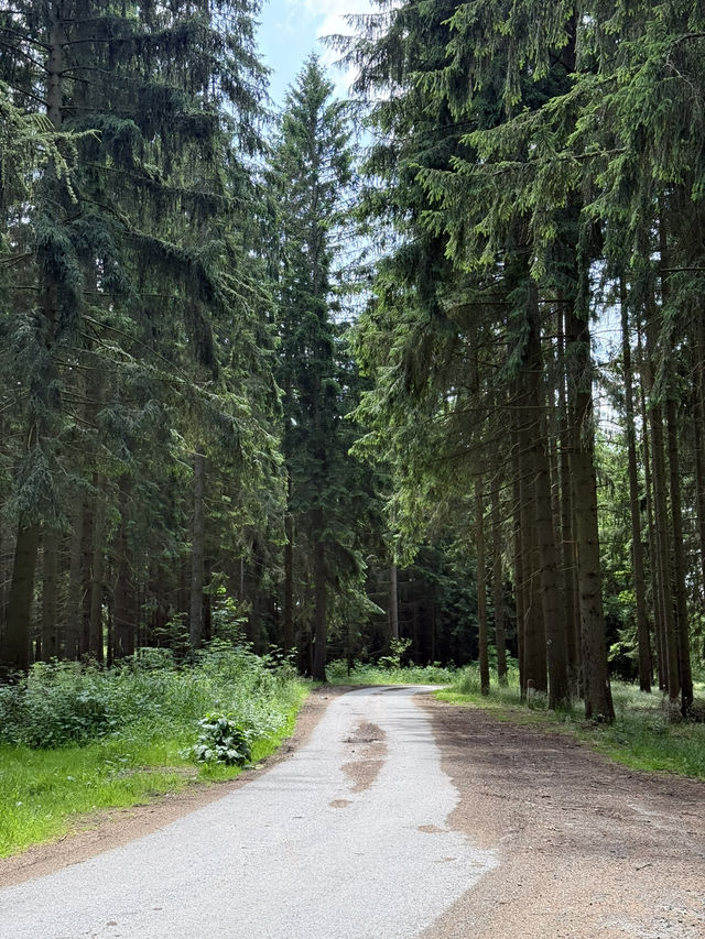 Mariánské Lázně: A Peaceful Escape for the Soul