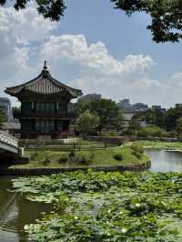 🇰🇷 Seoul Sizzle & Soul: My Korean Adventure Unfolded! ✨