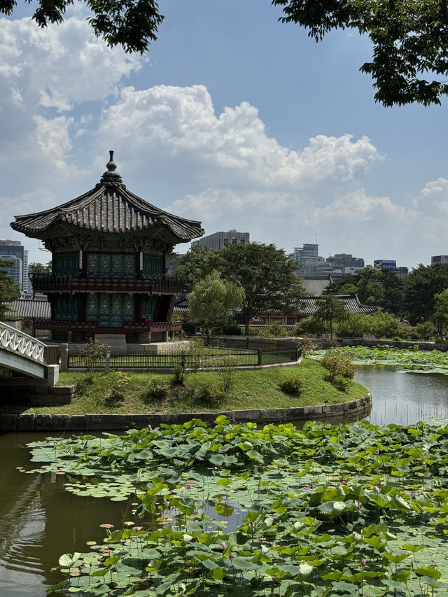🇰🇷 Seoul Sizzle & Soul: My Korean Adventure Unfolded! ✨