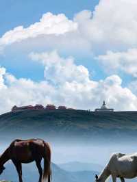 ⛰️ Mount Wutai – The Sacred Peaks of Buddhist Serenity
