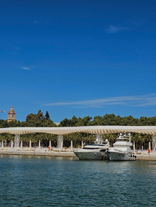 Discovering Málaga: A Perfect Blend of Sun, Culture & Tapas