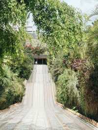 Tenerife: The Crown Jewel of the Canaries