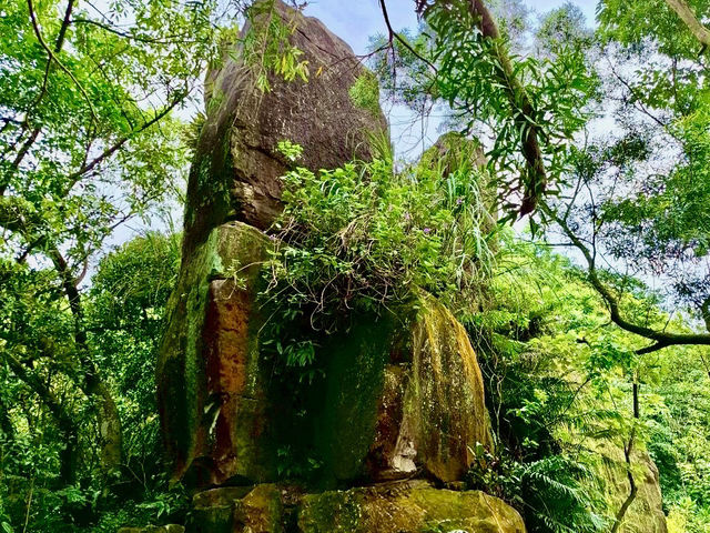 中和圓通寺連走土城清水大尖山