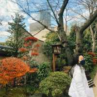 Tokyo’s Hidden Corners: Discover the City Beyond the Crowds