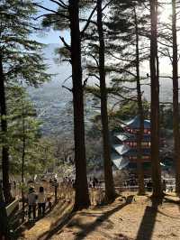 Japan Journey Review: Epic sights in Fujiyoshida 