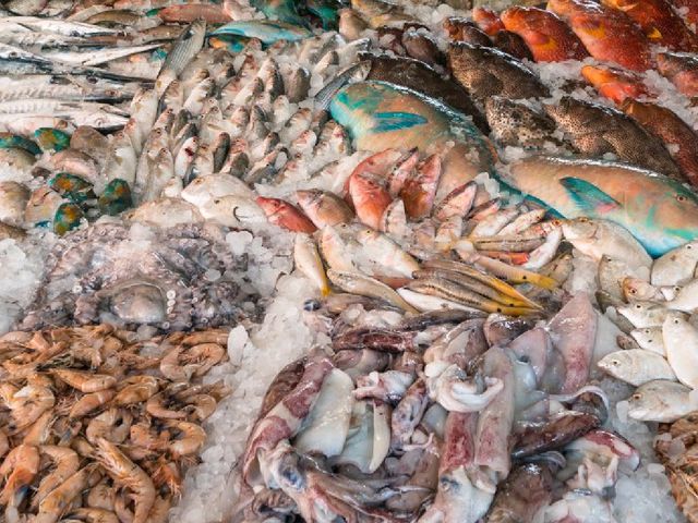 Hurghada – Egypt’s Red Sea Paradise