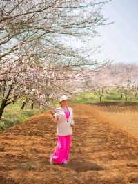 Сад Пинба в долине Гуйчжоу