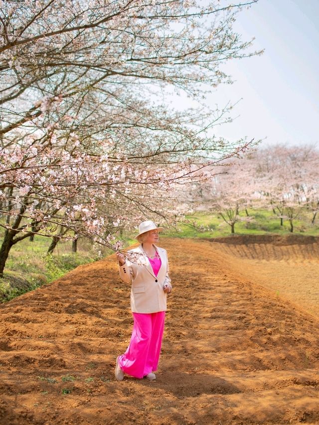 Сад Пинба в долине Гуйчжоу Сад Пинба в долине Гуйчжоу