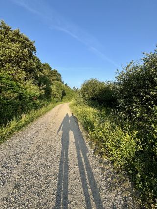 Dragonstone Trail🌊