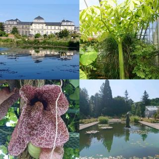 เมืองบอนน์ ประเทศเยอรมนี สวนพฤกษศาสตร์ที่งดงาม