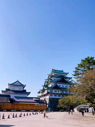 東京霓虹綻放：永續的春季交響曲🌸🏙️