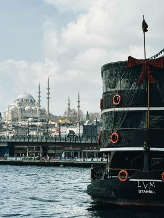 ❄️🌿 Captured a Cold Spring Moments in Istanbul