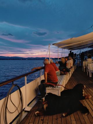 Evening Summer Cuise on Lake Thun 🚢 🌆