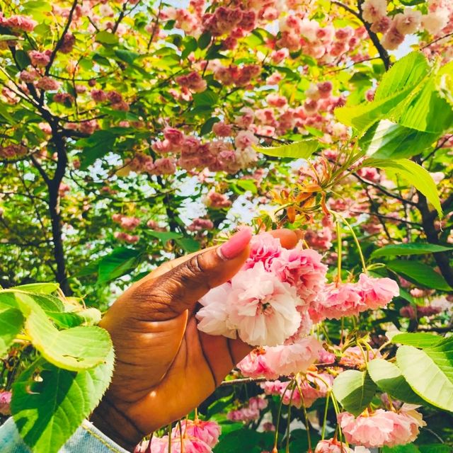 Spring is in the air.