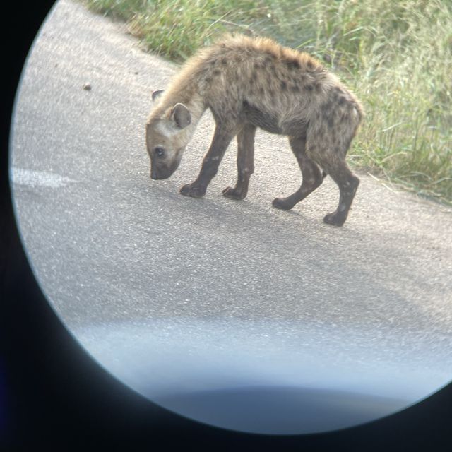 Kruger National Park