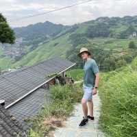 Rice Terrace Walks 