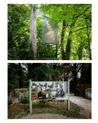 Da Vinci's residence during the last three years of his life - Château du Clos Lucé