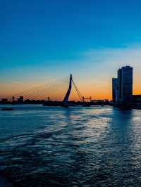 Swan | Erasmus Bridge