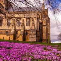 Colorful spring 🍀 - Yorkshire