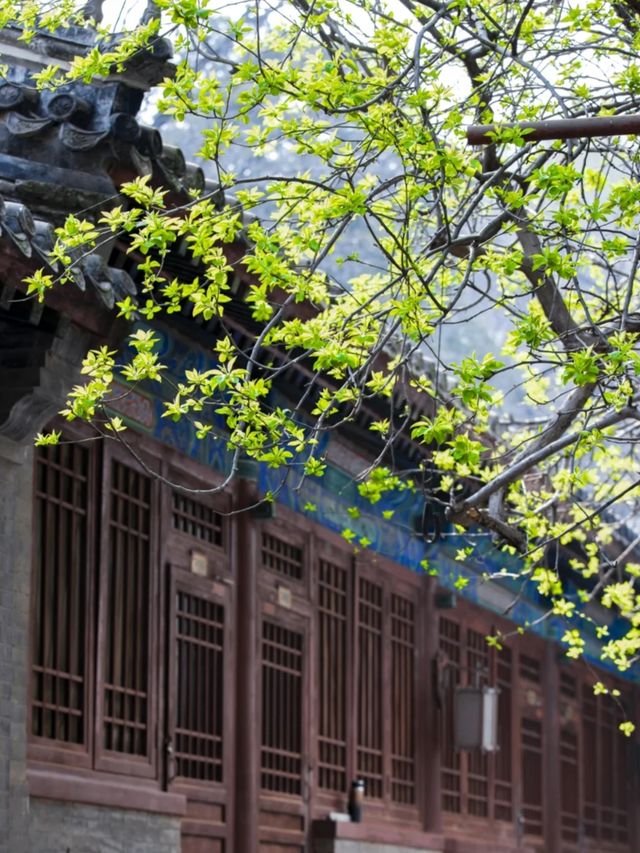 Off-the-beaten-path destination
