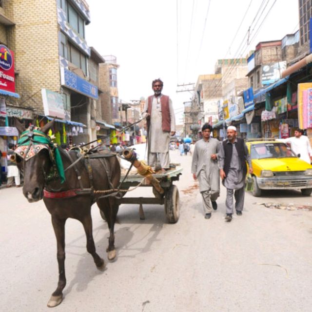 Peshawar city