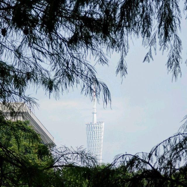 放假去邊玩❓短途遊玩好推薦🏞️『廣州•東山湖公園』