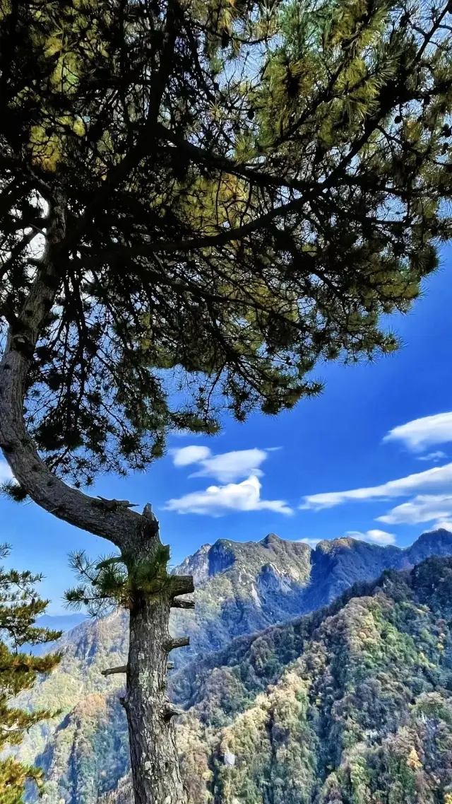 我去見山