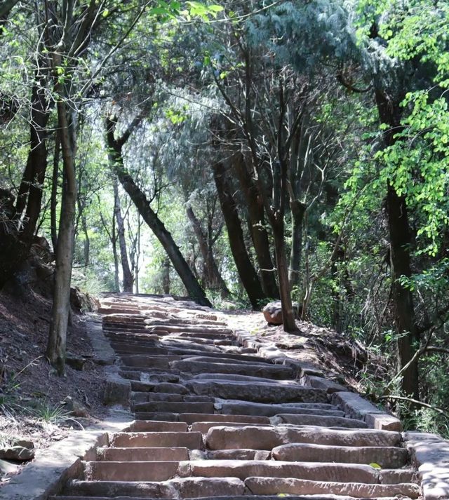 冬日好去處：成都金堂龍脊古道