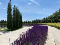Best City Park in Eurasia