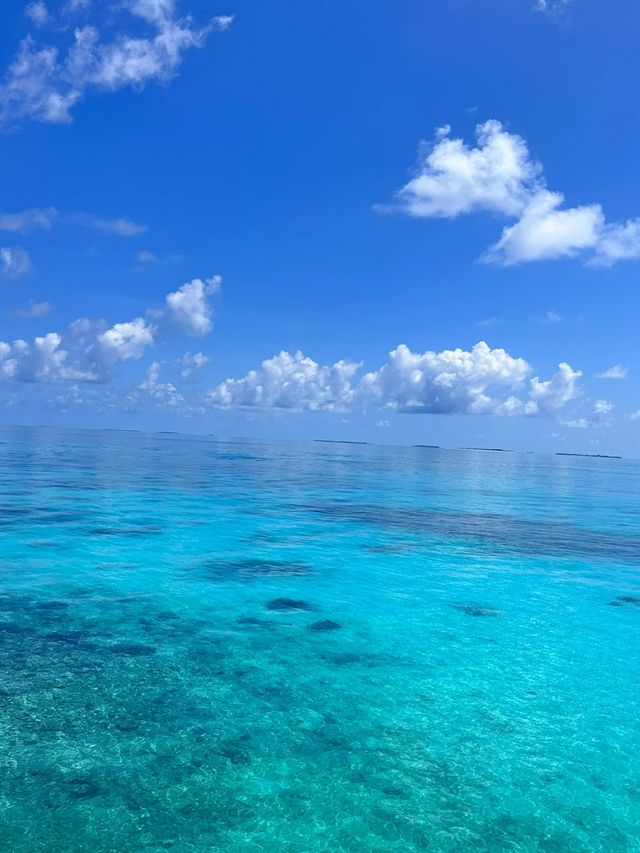 馬代Joali嬌麗島 | 乾貨合集