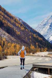 被四姑娘山美暈從童話裡走出來的冰雪世界