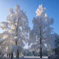 湖南霧凇雪原遊攻略～