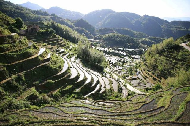 桃源梯田景區