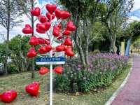 郊野公園，讓你的生活重新燃起火花！