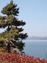 千岛湖|拍到了我夢中的場景