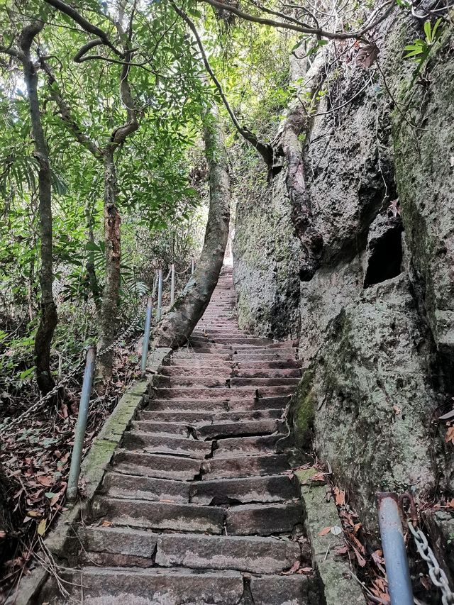 冬季到海南來看山，徒步行走在熱帶雨林