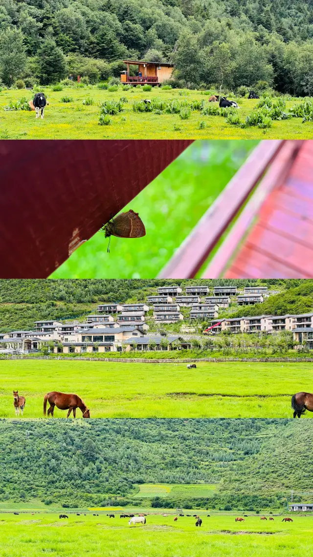 윤난 자가용 여행