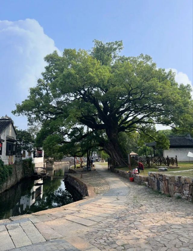 這個十月一來一場浪漫旅行吧！浪漫的明月灣古碼頭